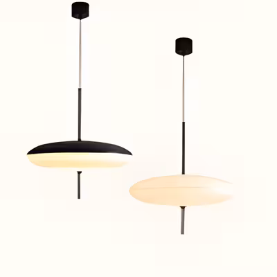 58 Decorative Pendant Suspending Light