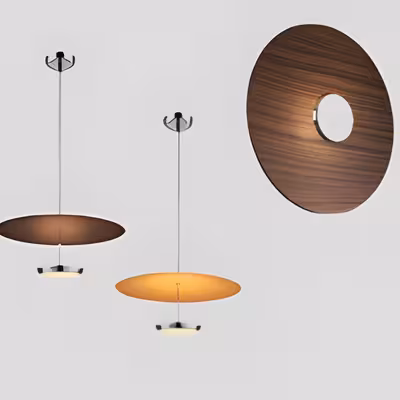 61 Decorative Pendant Suspending Light