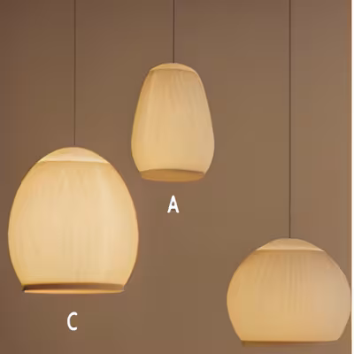 79 Decorative Pendant Suspending Light